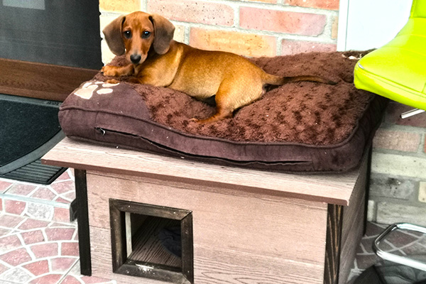 WPC teraszburkolatok