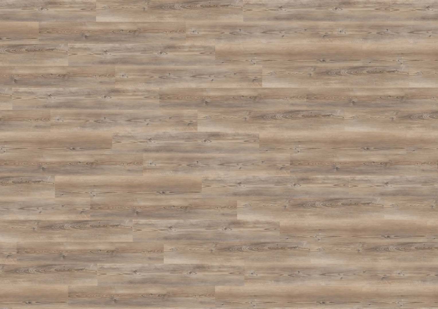 Coast Pine Taupe ragasztós Vinyl Padló 2 mm - Image 2