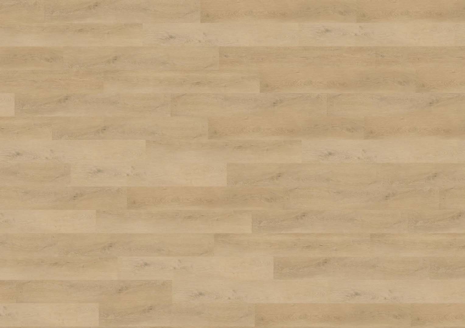 Plain Oak Beige ragasztós Vinyl Padló 2 mm - Image 2