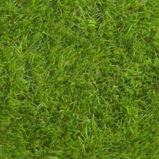 GreenShield Szolnok 50mm műfű