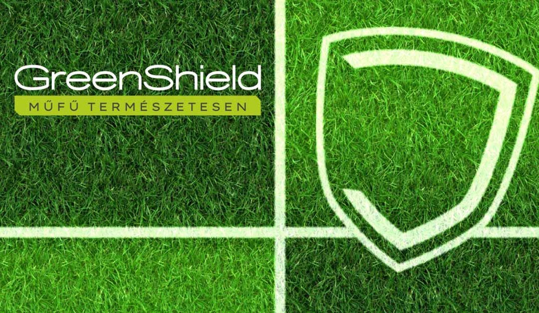 Gondolatok a műfüvünkről