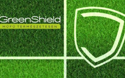 Gondolatok a műfüvünkről