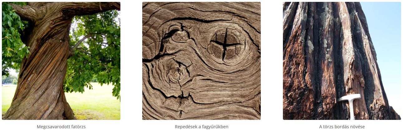 Fa - káros hatások Fa - káros hatások
