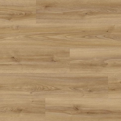 Cordoba elegante tölgy